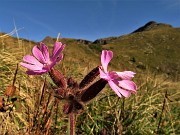 16 Salendo dal Passo della Marogella  a sx per Cima delle galline e di Mezzeno